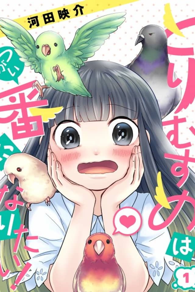 Bird Girl Wants to Find Her Mate