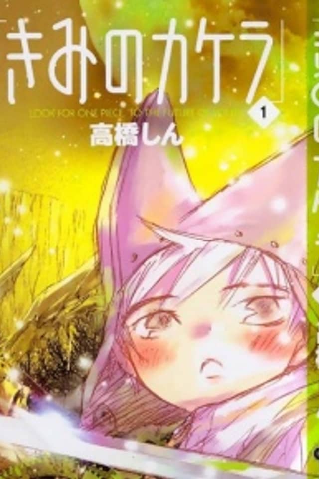 Kimi no Kakera