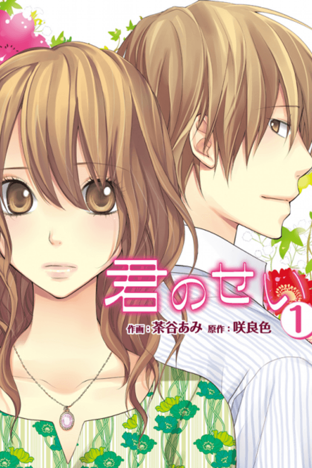 Kimi no Sei