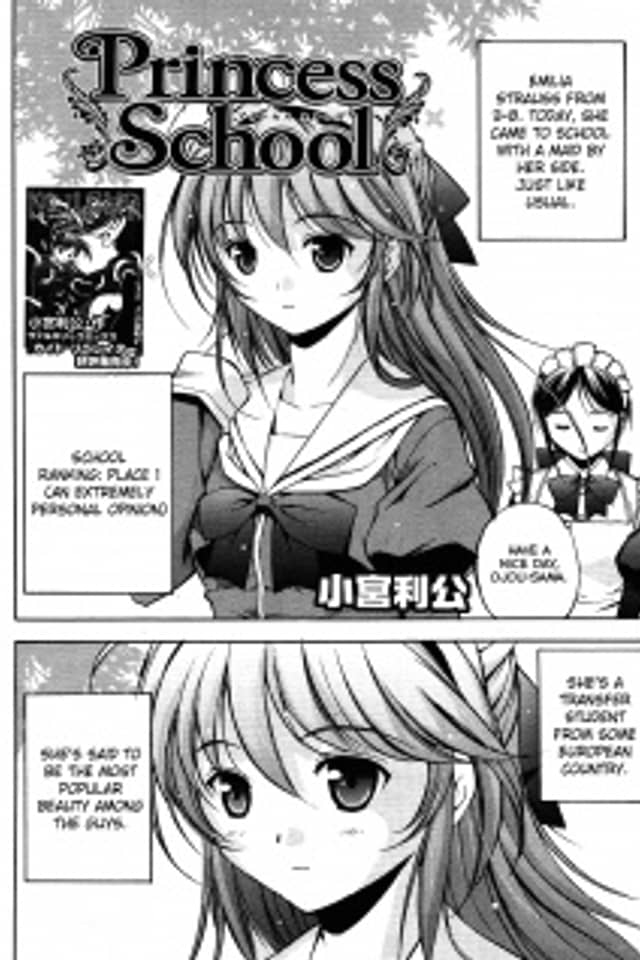 Princess School