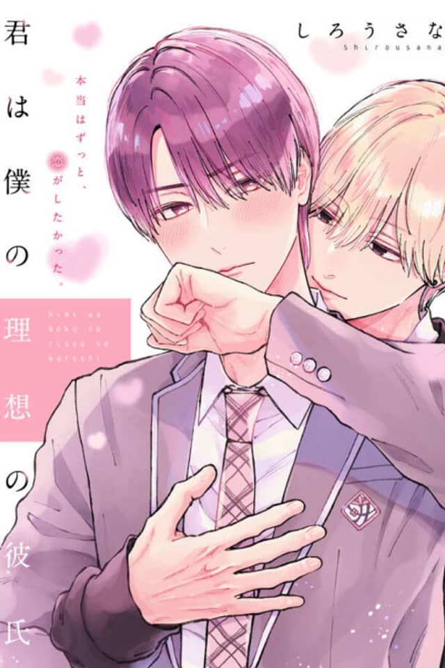 Kimi wa Boku no Risou no Kareshi