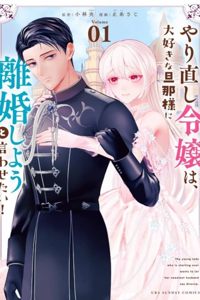 Yarinaoshi Reijou wa, Daisuki na Danna-sama ni Rikon Shiyou to Iwasetai!