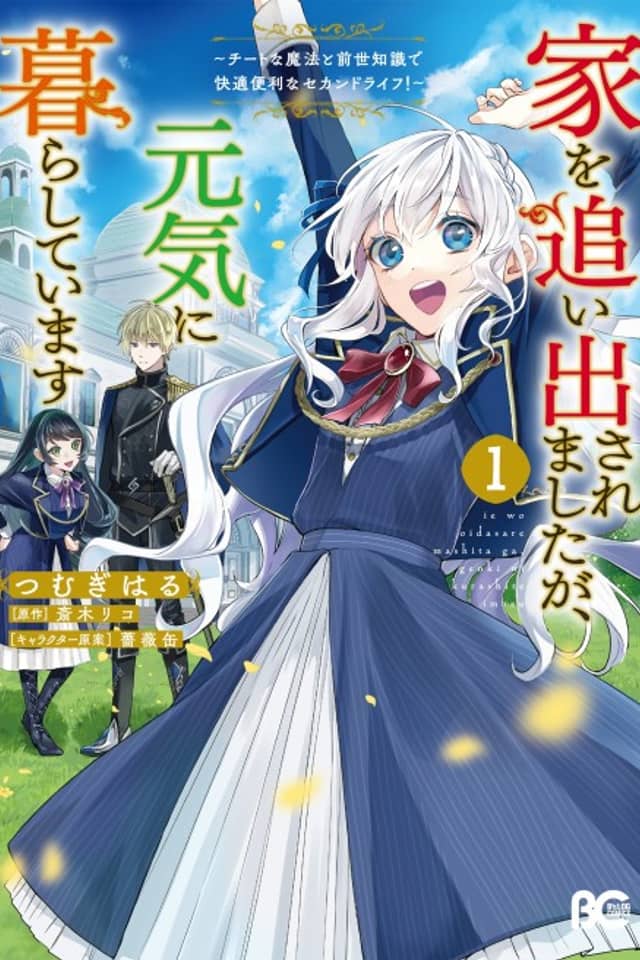 Ie wo Oidasaremashita ga, Genki ni Kurashiteimasu Cheat na Mahou to Zense Chishiki de Kaiteki Benri na Second Life!