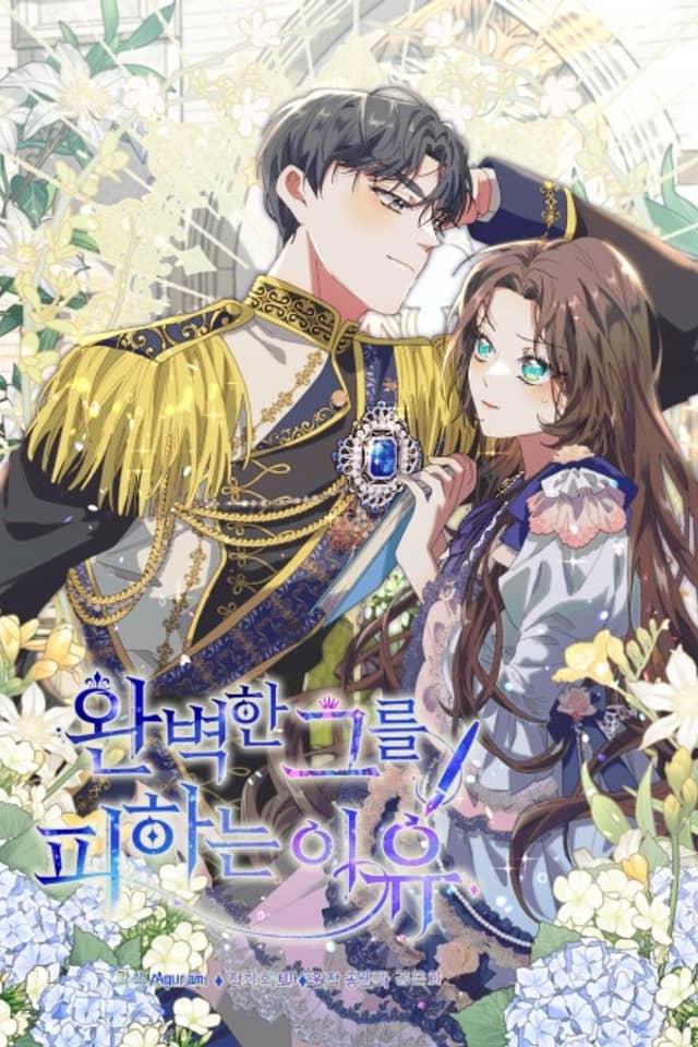 Wanbyeokan Geureul Pihaneun Iyu