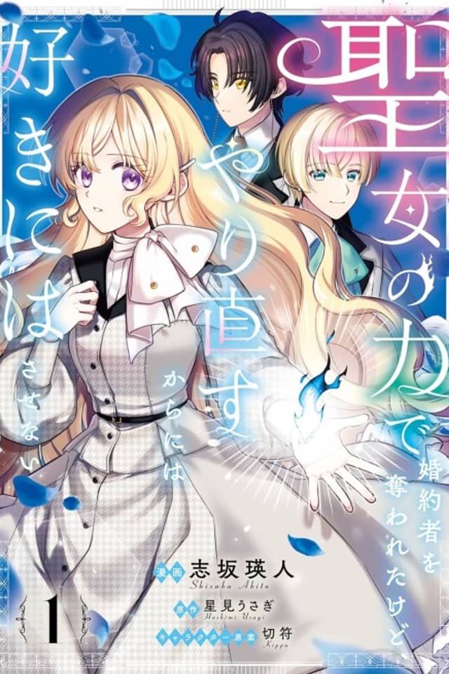 Seijo no Chikara de Konyakusha wo Ubawaretakedo, Yarinaosu kara ni wa Sukini wa Sasenai