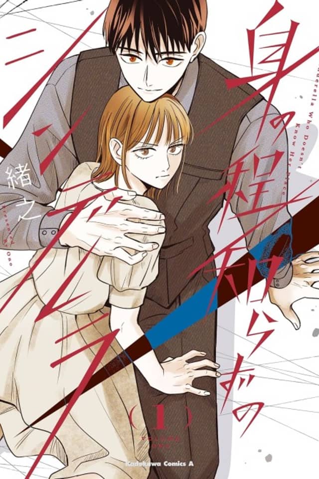 Minohodoshirazu no Cinderella