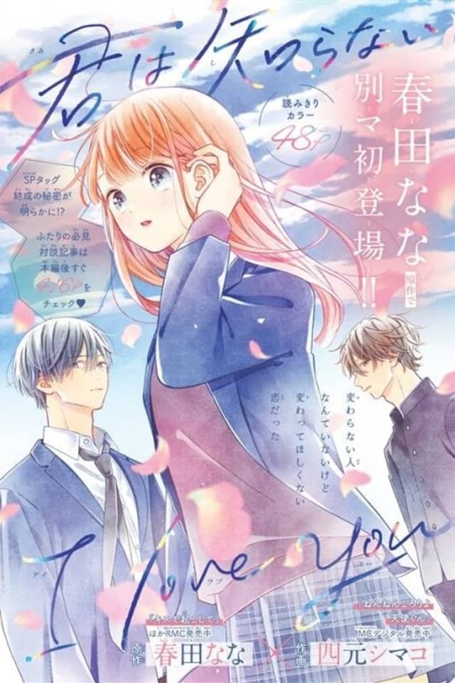 Kimi wa Shiranai I Love You