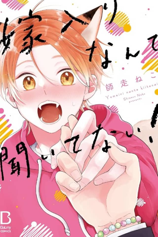 Yomeiri Nante Kiitenai!