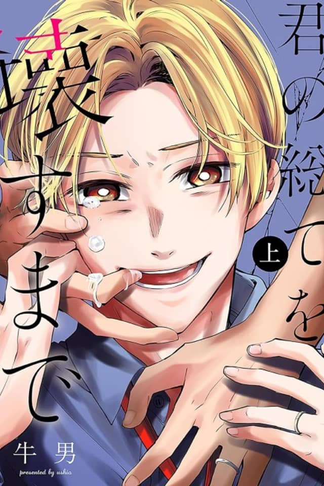 Kimi no Subete wo Kowasu made