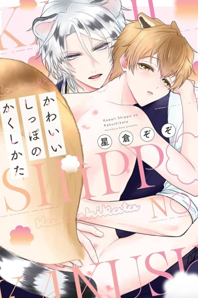 Kawaii Shippo no Kakushi-kata