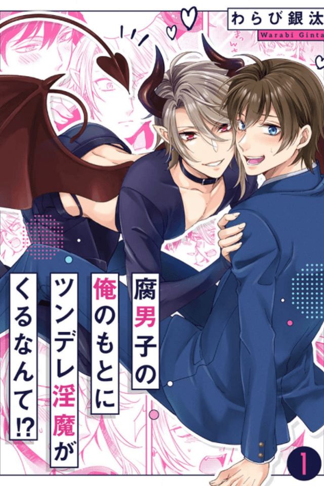Me, a Boys' Love Fanboy, Visited by an Incubus!?