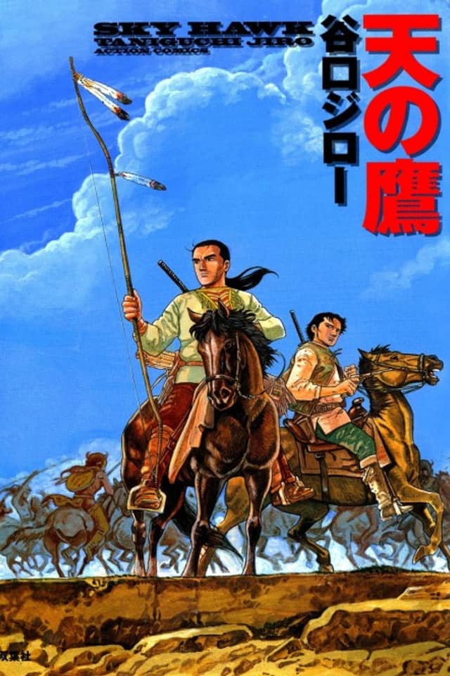 Sky Hawk