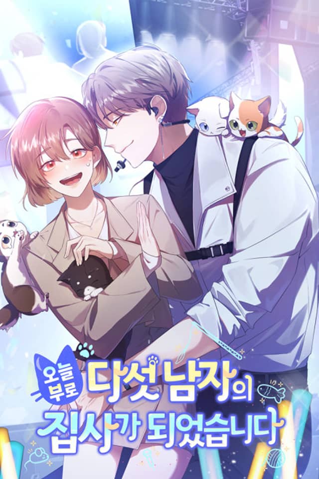 Managing Five Feline Idols