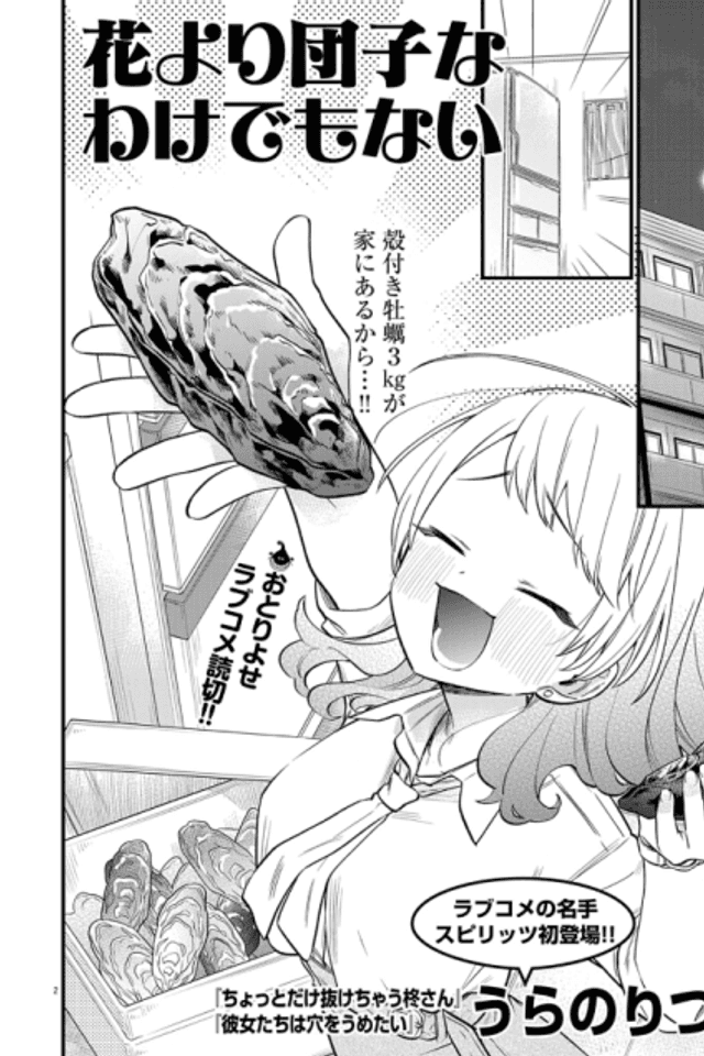 Hana yori Dango na wake demo nai