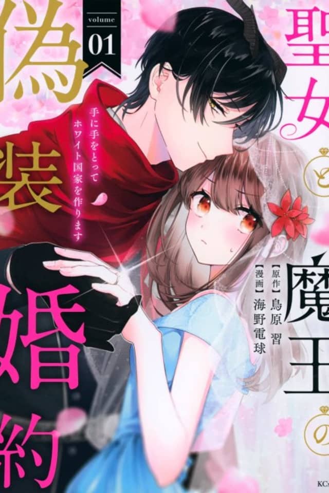 Seijo to Maou no Gisou Konyaku: Te ni Te wo Totte White Kokka wo Tsukurimasu