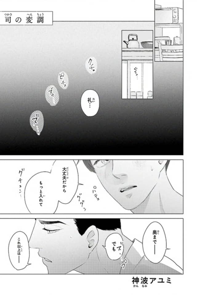 Tokkyuu α no Aishita Ω: Tsukasa no Henchou