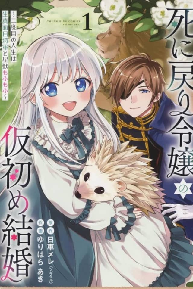 The Fake Marriage of a Noblewoman: A Second Life With a Military General and Cuddly Celestial Beasts