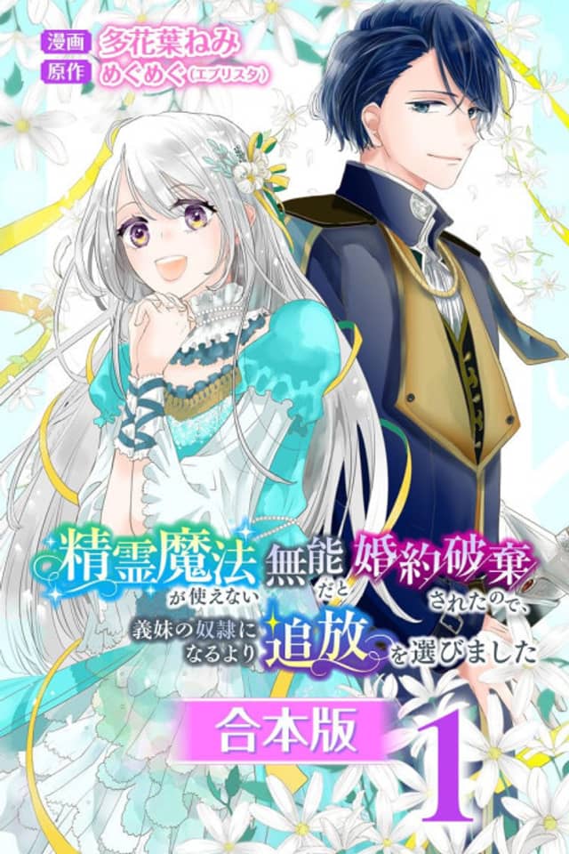 Seirei Mahou ga Tsukaenai Munou dato Konyaku Haki sareta node, Gimai no Dorei ni Naru yori Tsuihou wo Erabimashita