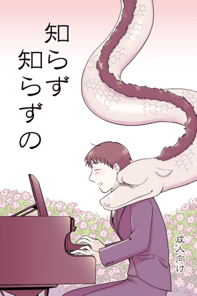 Shirazushirazu no