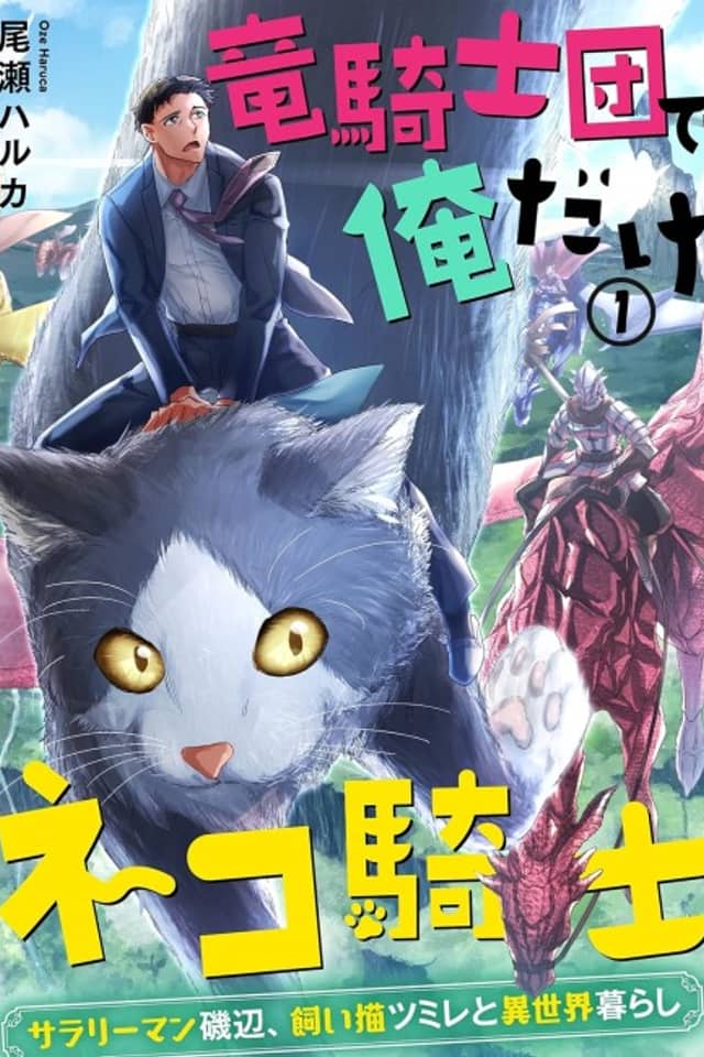 One Cat Knight in the Dragon Knights Clan