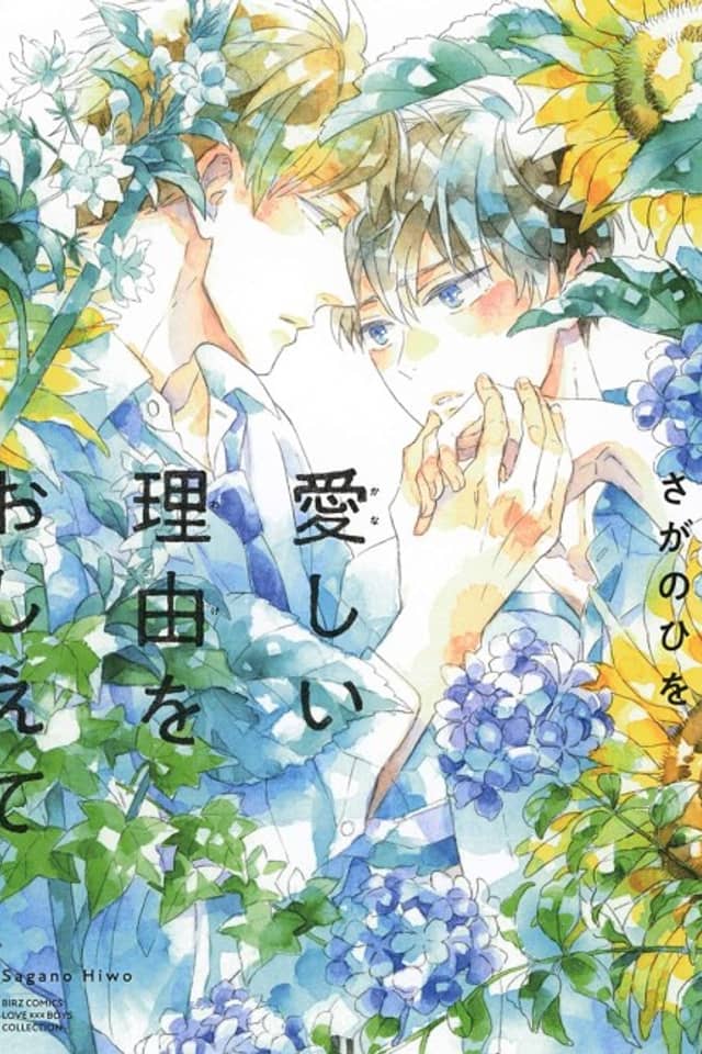 Kanashii Wake wo Oshiete