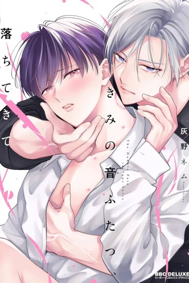 Kimi no Ne Futatsu, Ochitekite