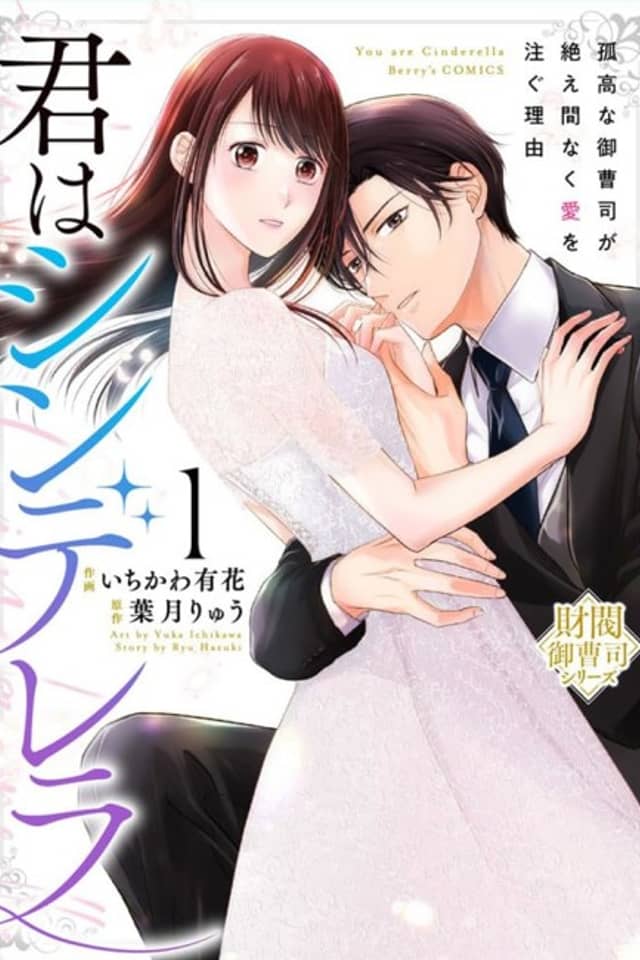 Kimi wa Cinderella: Kokou na Onzoushi ga Taema Naku Ai wo Sosogu Riyuu