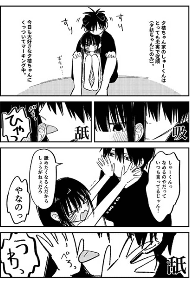 Yuki-chan Chi no Shuu-kun (Inu)