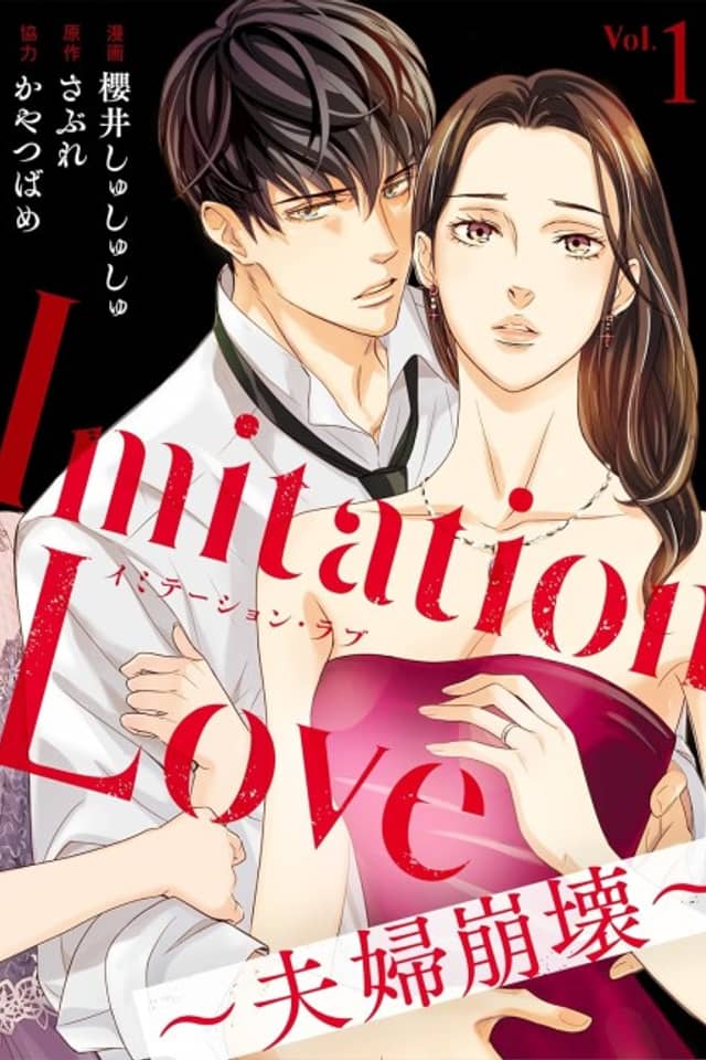 Imitation Love: A Couple's Tribulations