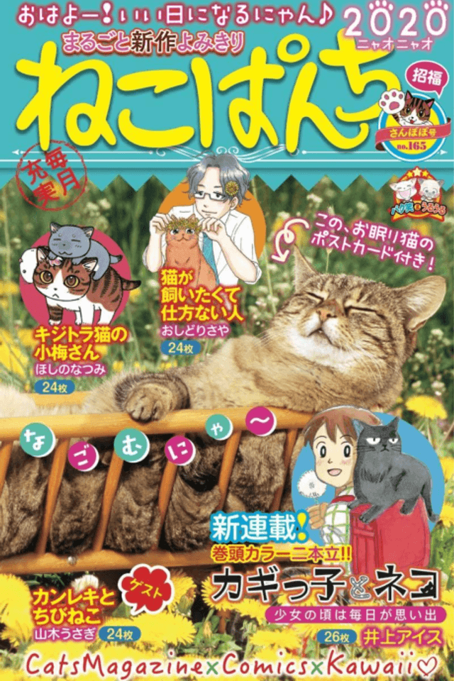 Mahoutsukai Datta Neko: Bangai-hen