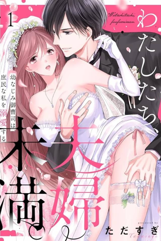 Not Quite Married: Doted on by My High Class Childhood Friend