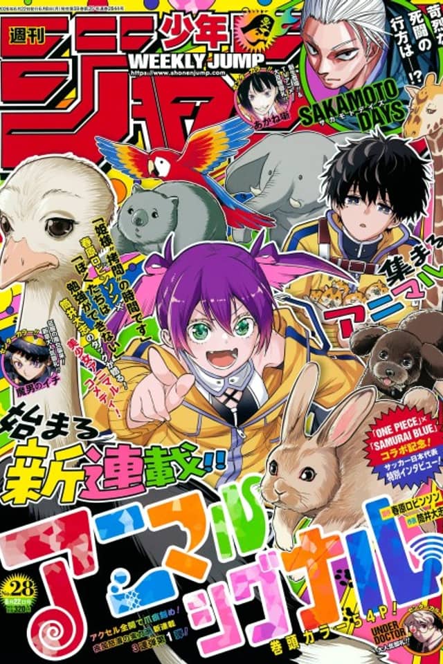 Animal Signal