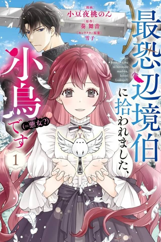 Saikyou Henkyou Haku ni Hirowaremashita, Kotori (=Akujo?) desu