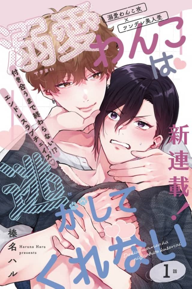 Dekiai Wanko wa Nigashitekurenai