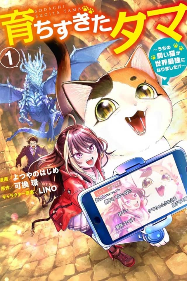 My House Cat Became the World’s Strongest?!
