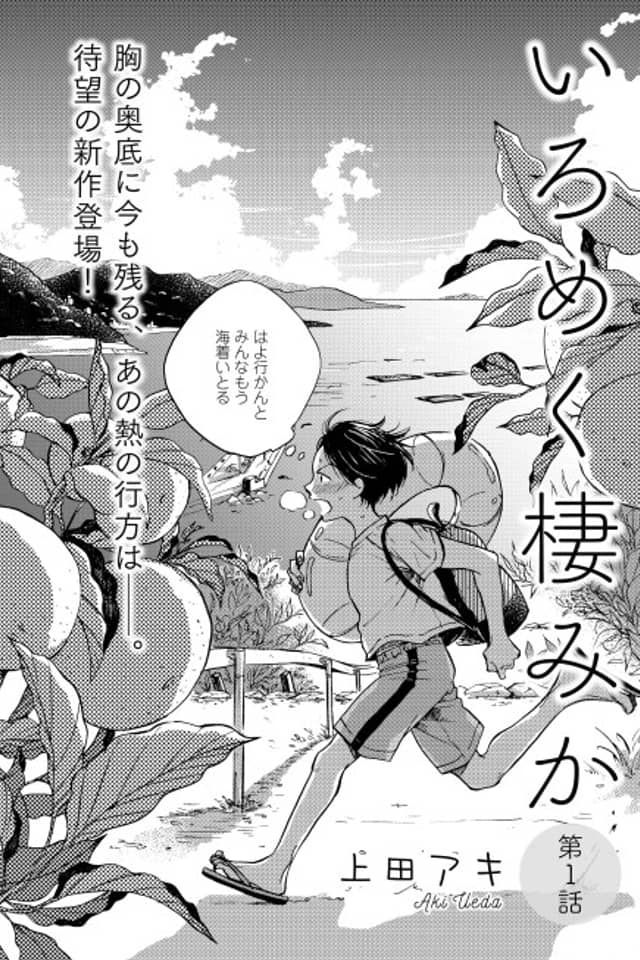 Iromeku Sumi ka