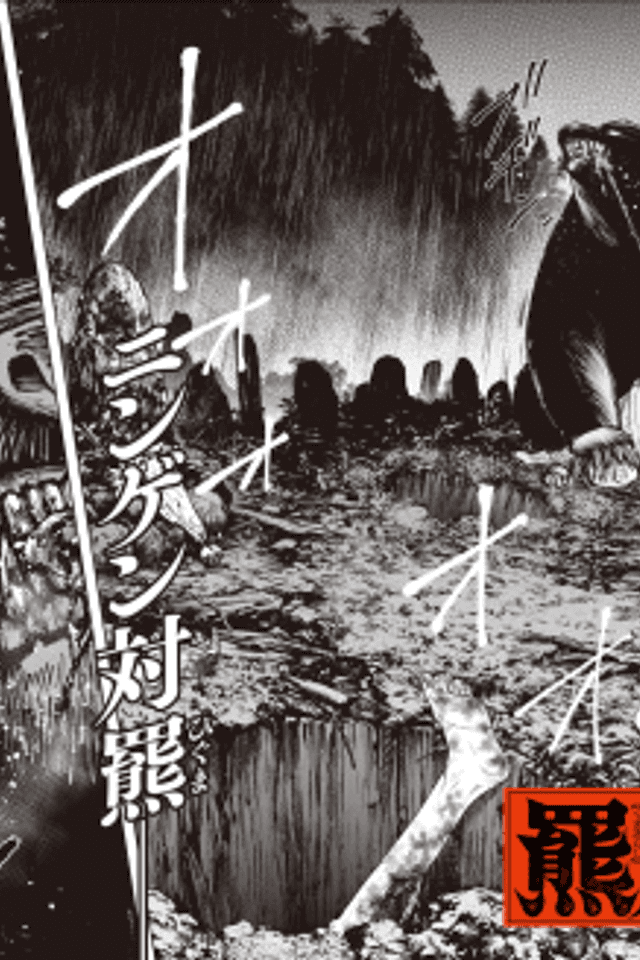 Kuma Arashi
