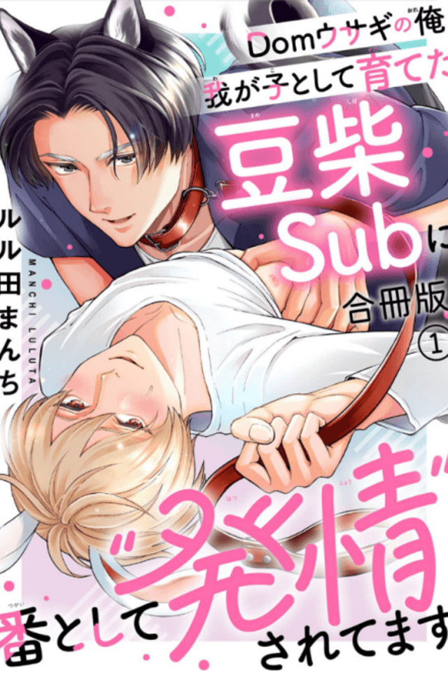 Dom Usagi no Ore, Wagako toshite Sodateta Mame Shiba Sub ni Tsugai toshite "Hatsujou" Saretemasu