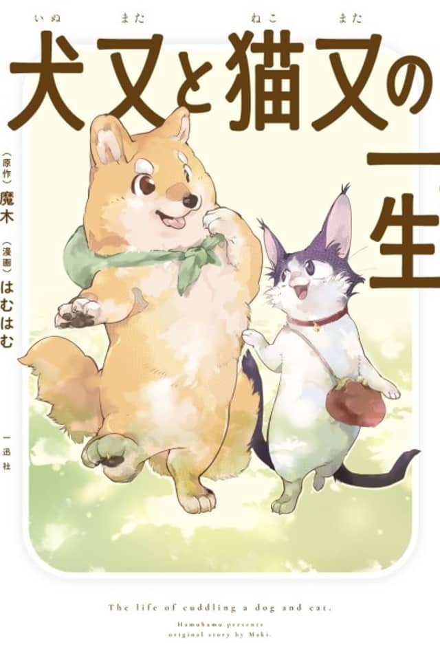 The Cat and Dog's Nine-Tailed Lives