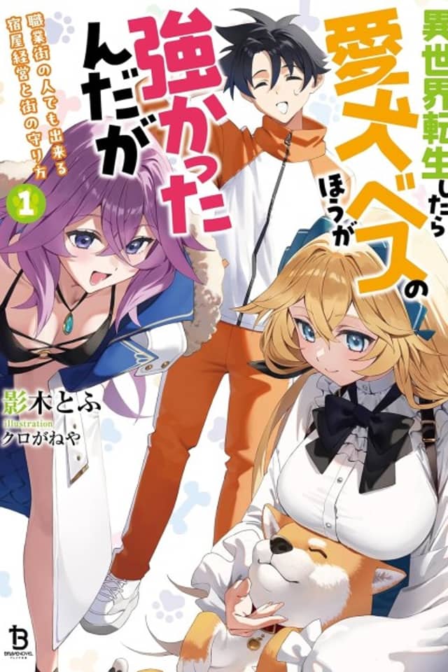 Isekai Tensei Shitara Aiken Beth no Hou ga Tsukattanda ga: Shokugyou Gai no Hito demo Dekiru Yadoya Keiei to Gai no Mamori Hou
