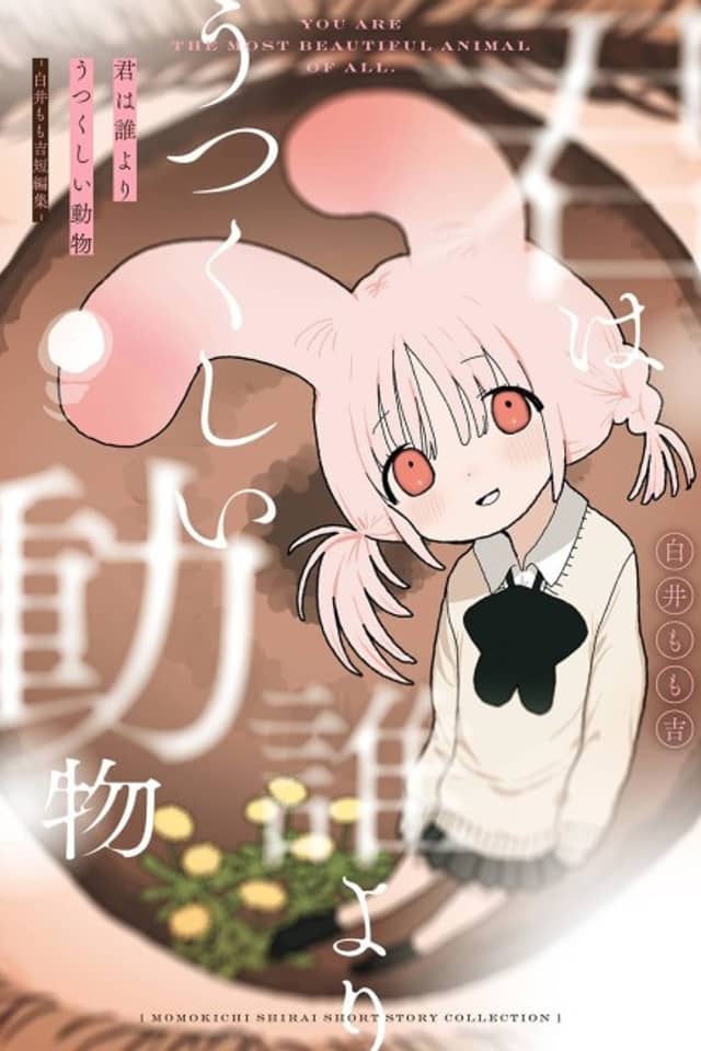 Kimi wa Dare Yori Utsukushii Doubutsu: Shirai Momokichi Tanpenshuu