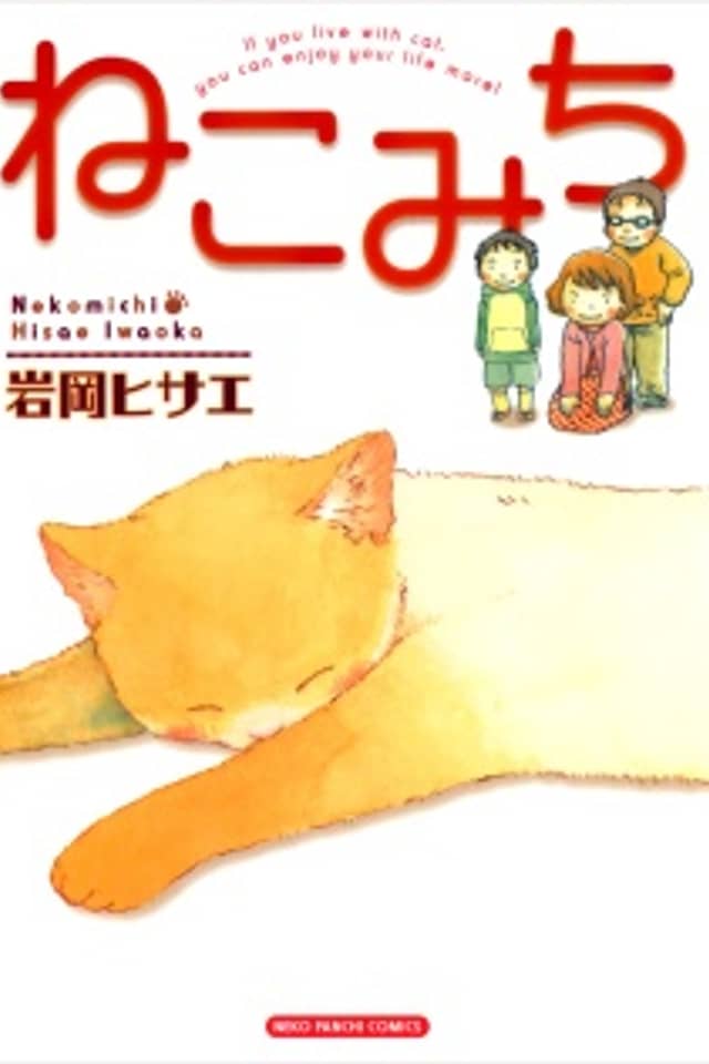 Cat's Road