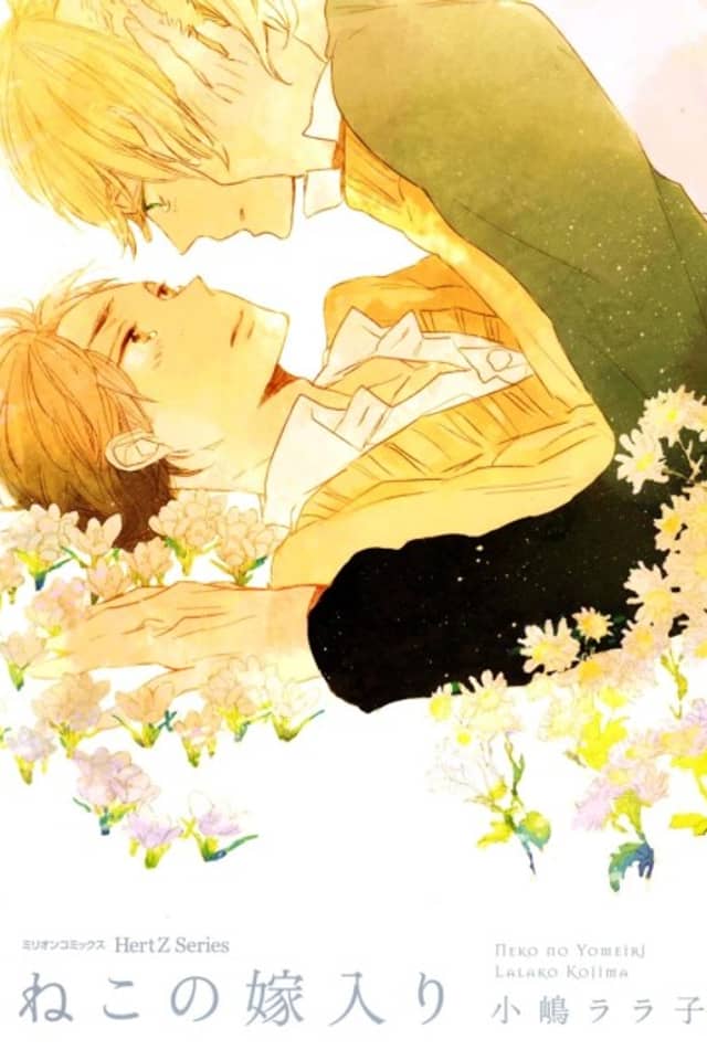 Ninth Life Love