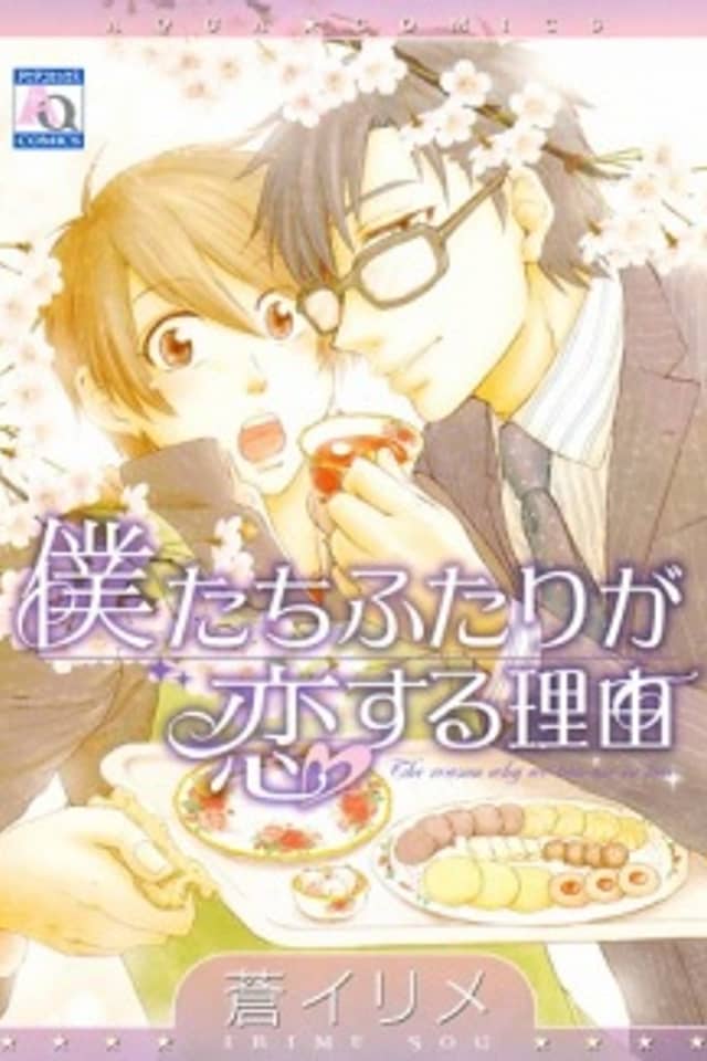 Boku-tachi Futari ga Koisuru Riyuu