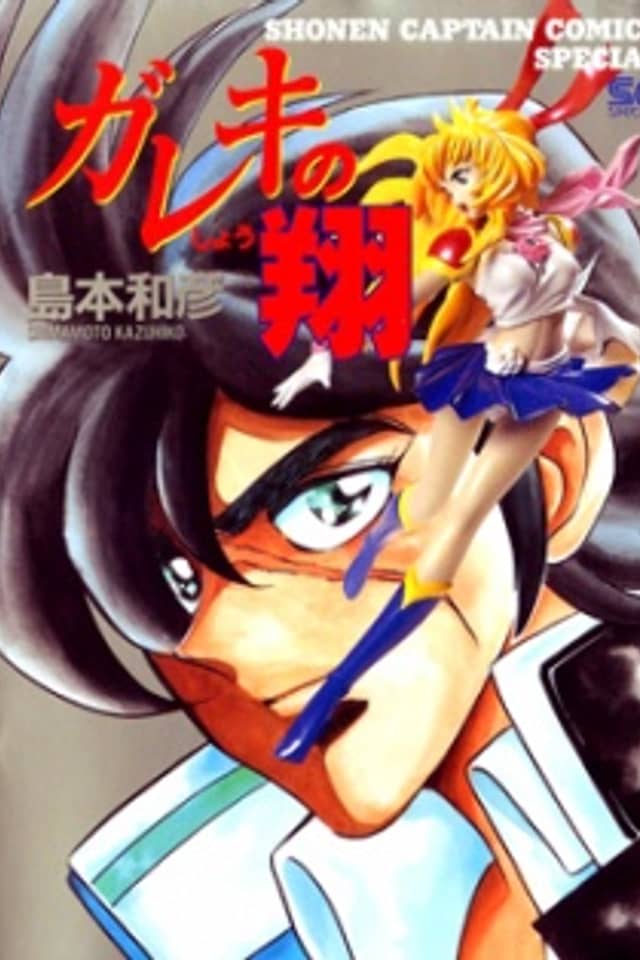 Gareki's Flight