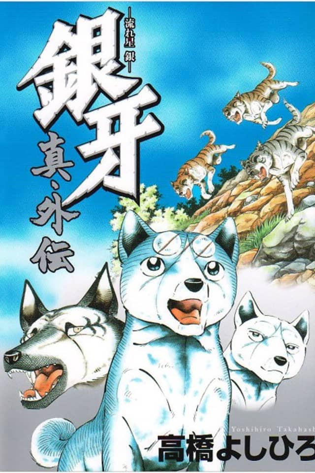 Ginga Nagareboshi Gin Shin Gaiden