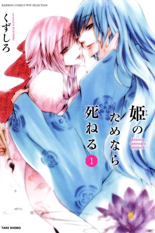 Kimi no Tame nara Shineru