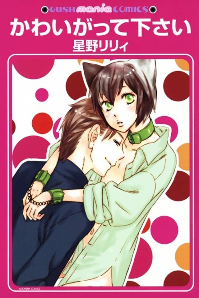 Please Love Me (HOSHINO Lily)