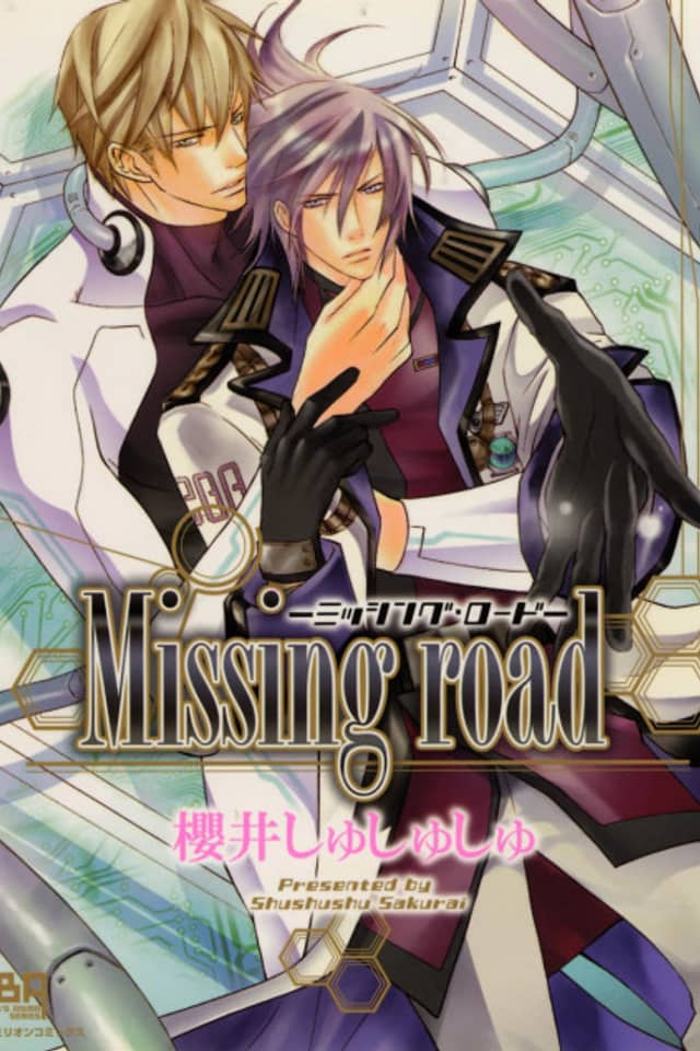 Missing Road