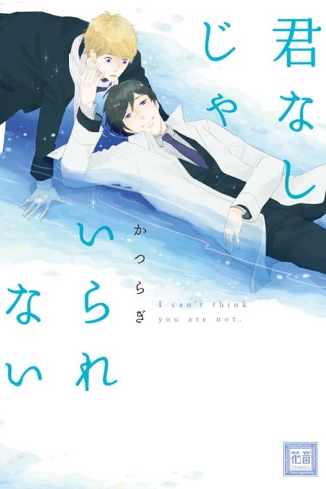 Kimi Nashi ja Irarenai